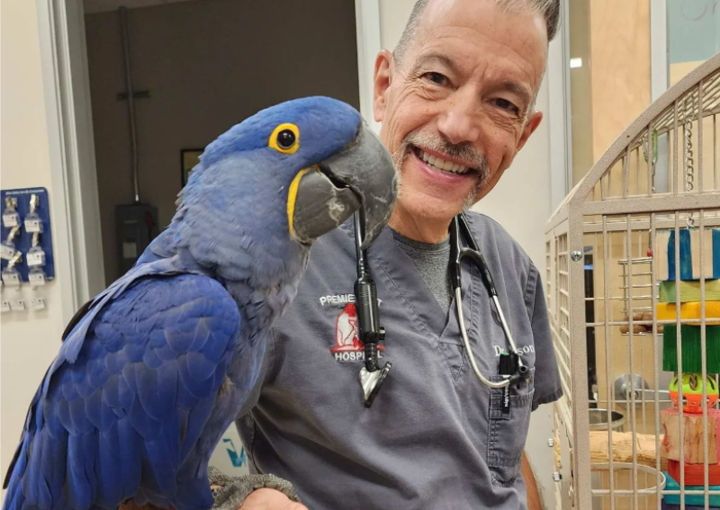 Carousel Slide 1: Avian Care at Premier Pet Hospital AZ